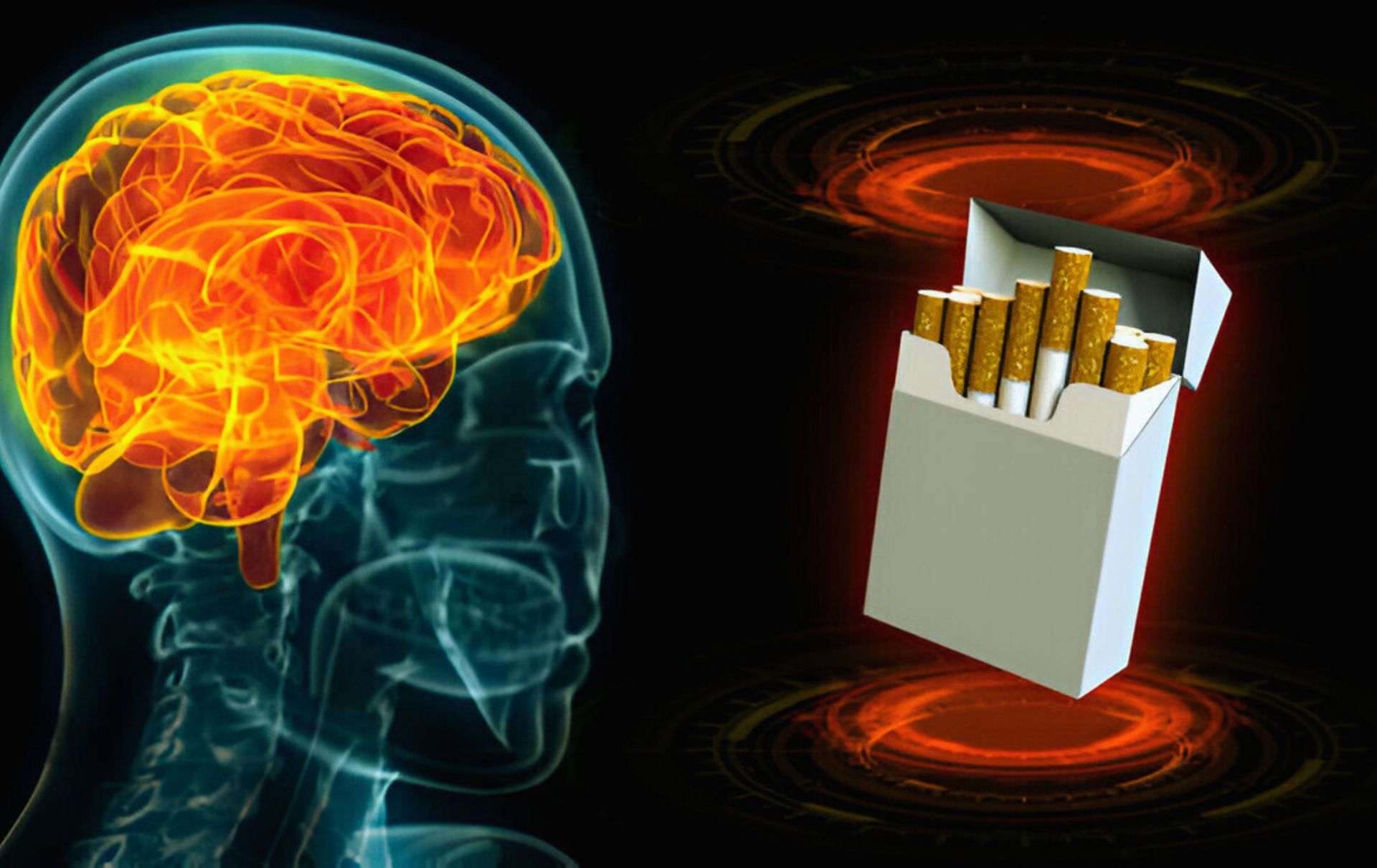 HOW DOES NICOTINE AFFECT THE BRAIN? A COMPREHENSIVE GUIDE